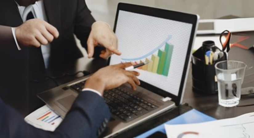 Corporate Risk Advisory Services